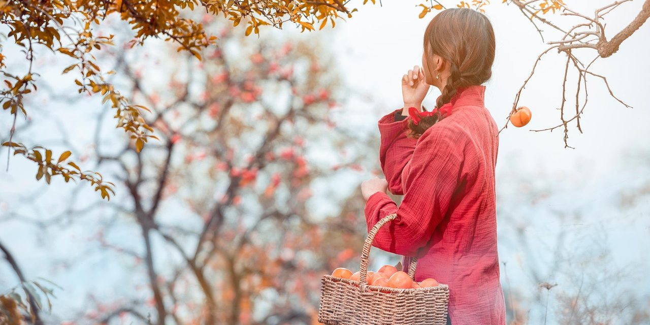 What Your Body Really Needs to Stay Healthy