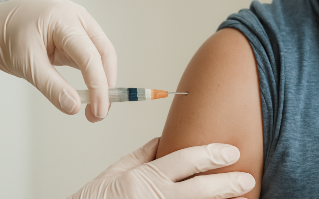 How Vaccines Train the Immune System