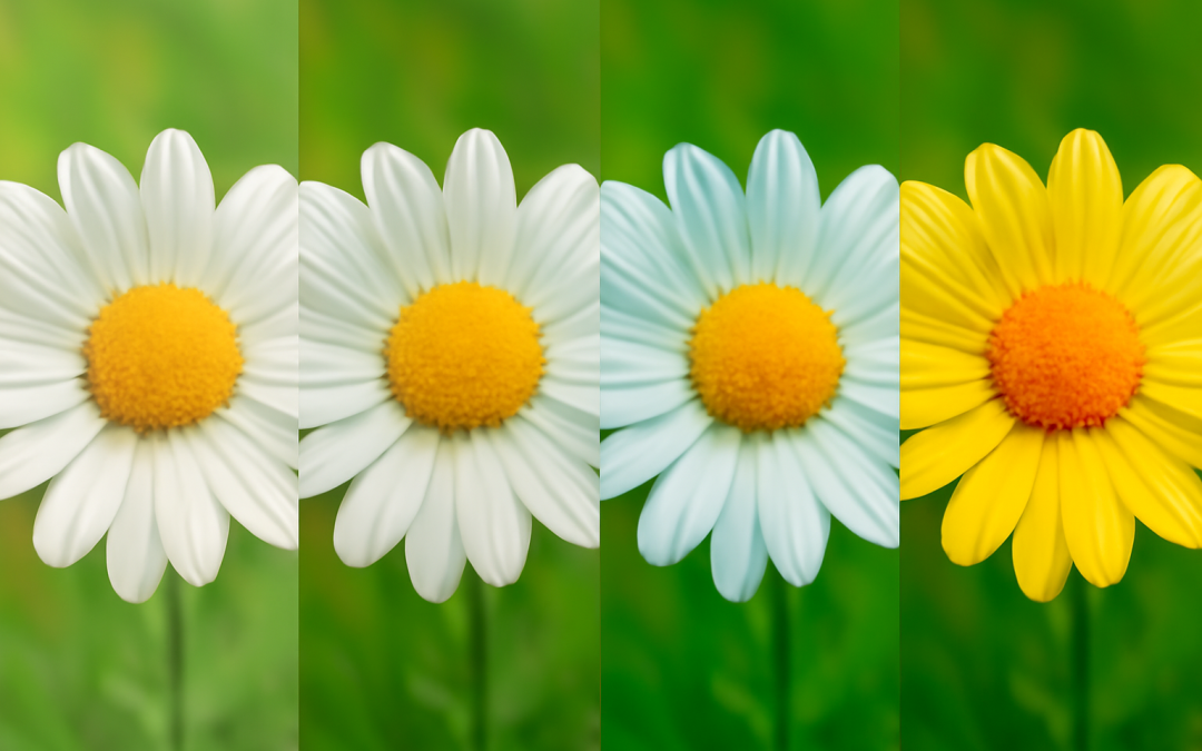 Image Saturation Effects